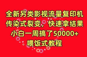 全新另类影视流量复印机,传染式裂变,快速拿结果,小白一周搞了50000+,喂饭式教程【揭秘】|淘骐网赚资源库