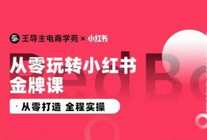 王导主·小红书电商运营实操课,从零打造 全程实操|淘骐网赚资源库