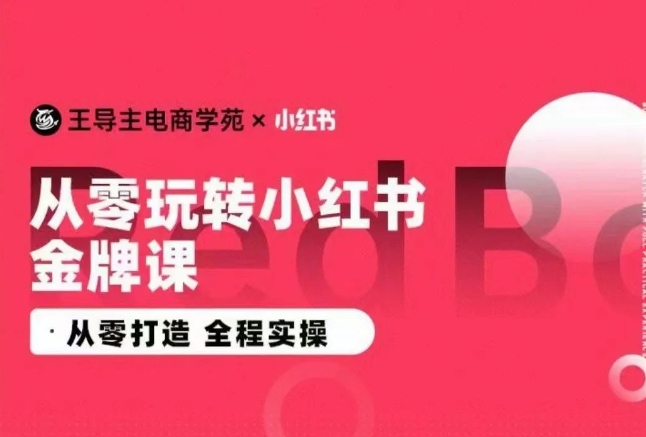 王导主·小红书电商运营实操课,从零打造 全程实操|淘骐网赚资源库