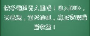 快手相声无人直播,日入1000+,无违规,全天挂机,真正实现睡后收益【揭秘】|淘骐网赚资源库