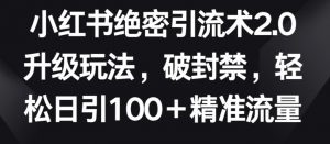 小红书绝密引流术2.0升级玩法,破封禁,轻松日引100+精准流量【揭秘】|淘骐网赚资源库
