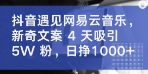 抖音遇见网易云音乐，新奇文案 4 天吸引 5W 粉，日挣1000+【揭秘】|淘骐网赚资源库