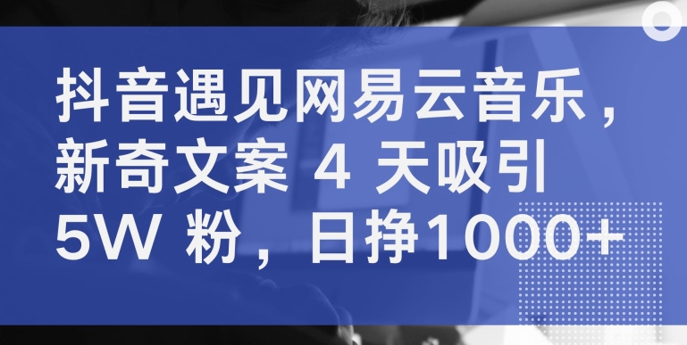 抖音遇见网易云音乐,新奇文案 4 天吸引 5W 粉,日挣1000+【揭秘】|淘骐网赚资源库