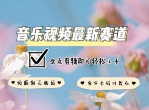 音乐视频赛道最新玩法，纯原创不违规，可所有平台同时发布，会点剪辑即可轻松拿捏【揭秘】|淘骐网赚资源库