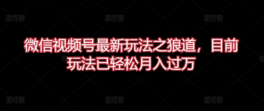 微信视频号最新玩法之狼道，目前玩法已轻松月入过万【揭秘】|淘骐网赚资源库