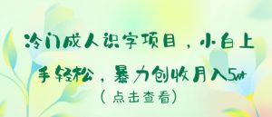 冷门成人识字项目，小白上手轻松，暴力创收月入5w+【揭秘】|淘骐网赚资源库