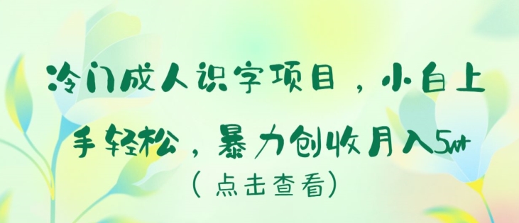 冷门成人识字项目,小白上手轻松,暴力创收月入5w+【揭秘】|淘骐网赚资源库
