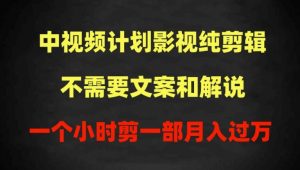 中视频计划影视纯剪辑,不需要文案和解说,一个小时剪一部,100%过原创月入过万【揭秘】|淘骐网赚资源库