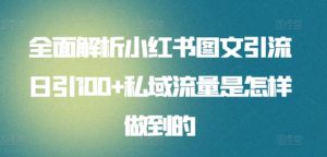 全面解析小红书图文引流日引100+私域流量是怎样做到的【揭秘】|淘骐网赚资源库