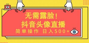 无需露脸，Ai头像直播项目，简单操作日入500+【揭秘】|淘骐网赚资源库