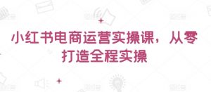 小红书电商运营实操课，​从零打造全程实操|淘骐网赚资源库