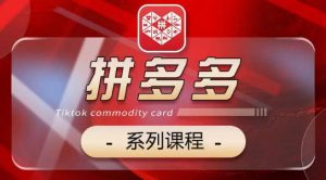 2024拼多多系列课,【基础】【运营】【活动】【推广】【玩法】5大模块|淘骐网赚资源库