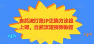 自然流打造IP正确方法线上课,自然流短视频教程|淘骐网赚资源库