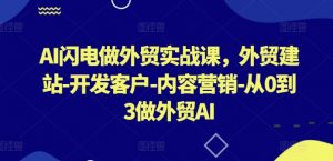 AI闪电做外贸实战课，​外贸建站-开发客户-内容营销-从0到3做外贸AI|淘骐网赚资源库