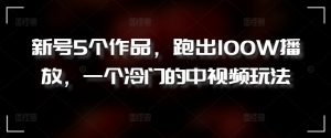 新号5个作品，跑出100W播放，一个冷门的中视频玩法【揭秘】|淘骐网赚资源库