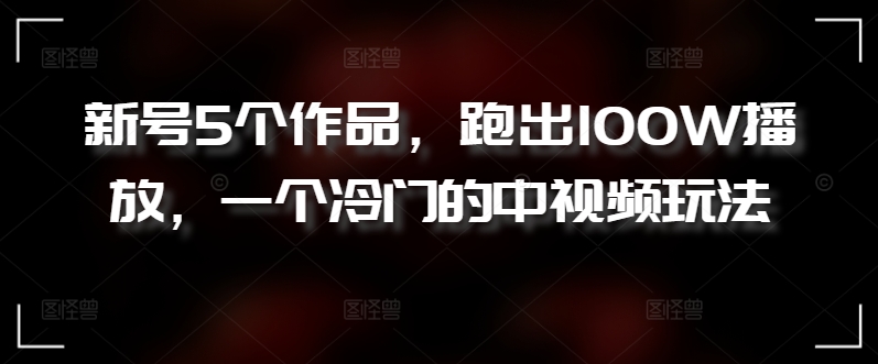 新号5个作品，跑出100W播放，一个冷门的中视频玩法【揭秘】|淘骐网赚资源库