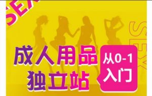 成人用品独立站从0-1入门，成品独立站运营全流程教学，七大好卖成品独立站推荐|淘骐网赚资源库