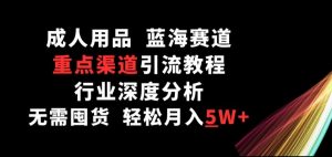 成人用品,蓝海赛道,重点渠道引流教程,行业深度分析,无需囤货,轻松月入5W+【揭秘】|淘骐网赚资源库
