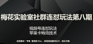 梅花实验室社群连怼玩法第八期,视频号连怼玩法 苹果卡特效技术【揭秘】|淘骐网赚资源库