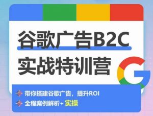 谷歌广告B2C实战特训营,500+谷歌账户总结经验,实战演示如何从0-1搭建广告账户|淘骐网赚资源库