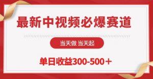 最新中视频必爆赛道，当天做当天起，单日收益300-500+【揭秘】|淘骐网赚资源库