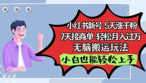 小红书影视泥巴追剧5天涨千粉，7天接商单，轻松月入过万，无脑搬运玩法【揭秘】-第一资源库