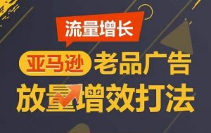 流量增长 亚马逊老品广告放量增效打法，短期内广告销量翻倍|淘骐网赚资源库