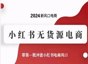2024新风口电商,小红书无货源电商,带第一批冲进小红书电商风口|淘骐网赚资源库