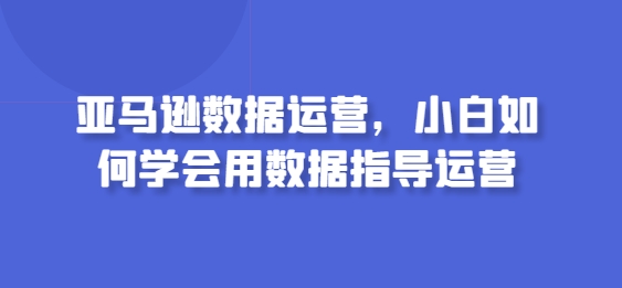 亚马逊数据运营,小白如何学会用数据指导运营|淘骐网赚资源库