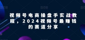 视频号电商实战教程,2024视频号最赚钱的赛道分享|淘骐网赚资源库