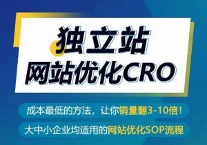 独立站网站优化CRO,成本最低的方法,让你销量翻3-10倍|淘骐网赚资源库
