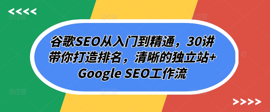 谷歌SEO从入门到精通,30讲带你打造排名,清晰的独立站+Google SEO工作流|淘骐网赚资源库