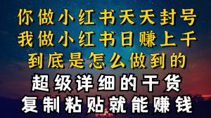都知道小红书能引流私域变现，可为什么我能一天引流几十人变现上千，但你却频频封号违规被限流【揭秘】|淘骐网赚资源库