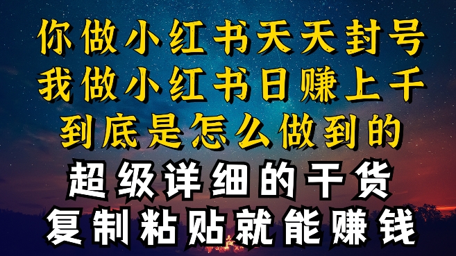 都知道小红书能引流私域变现,可为什么我能一天引流几十人变现上千,但你却频频封号违规被限流【揭秘】|淘骐网赚资源库