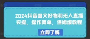 2024抖音图文好物和无人直播实操，操作简单，保姆级教程|淘骐网赚资源库