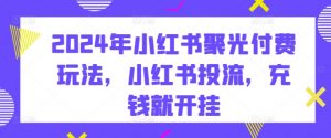 2024年小红书聚光付费玩法,小红书投流,充钱就开挂|淘骐网赚资源库