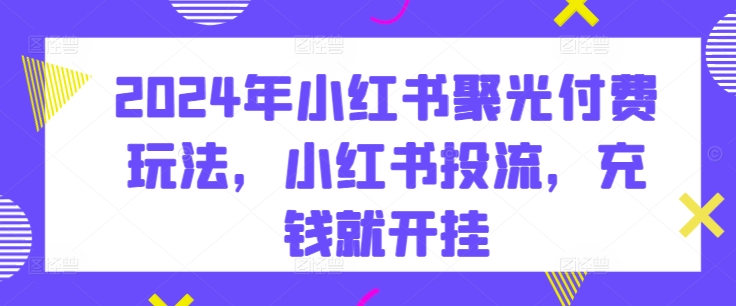 2024年小红书聚光付费玩法,小红书投流,充钱就开挂|淘骐网赚资源库