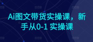 Ai图文带货实操课,新手从0-1 实操课|淘骐网赚资源库