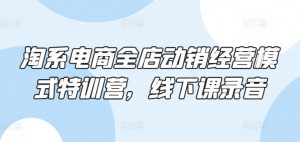 淘系电商全店动销经营模式特训营，线下课录音|淘骐网赚资源库