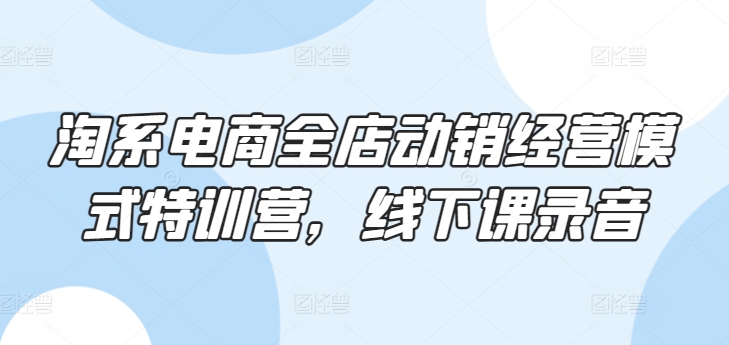 淘系电商全店动销经营模式特训营,线下课录音|淘骐网赚资源库