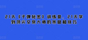21天《子弹秘密》训练营,21天学到顶尖文案大师的策略和技巧|淘骐网赚资源库