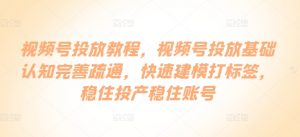 视频号投放教程,视频号投放基础认知完善疏通,快速建模打标签,稳住投产稳住账号|淘骐网赚资源库