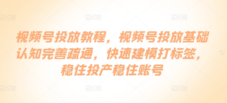 视频号投放教程,视频号投放基础认知完善疏通,快速建模打标签,稳住投产稳住账号|淘骐网赚资源库