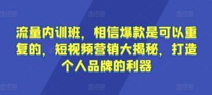 流量内训班,相信爆款是可以重复的,短视频营销大揭秘,打造个人品牌的利器|淘骐网赚资源库