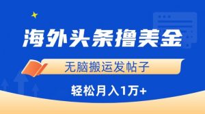 海外头条撸美金，无脑搬运发帖子，月入1万+，小白轻松掌握【揭秘】|淘骐网赚资源库