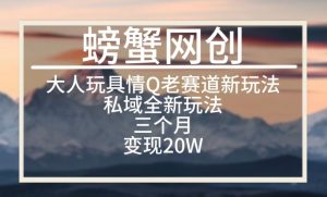 大人玩具情Q用品赛道私域全新玩法,三个月变现20W,老项目新思路【揭秘】|淘骐网赚资源库