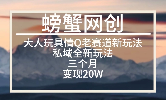大人玩具情Q用品赛道私域全新玩法,三个月变现20W,老项目新思路【揭秘】|淘骐网赚资源库