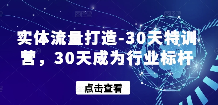 实体流量打造-30天特训营,30天成为行业标杆|淘骐网赚资源库