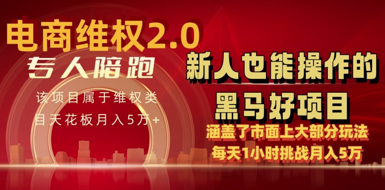 电商维权 4.0 如何做到月入 5 万+每天 1 小时新人也能快速上手【仅揭秘】|淘骐网赚资源库