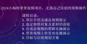 2024小淘纯带货视频项目，无需自己实拍纯剪辑操作|淘骐网赚资源库